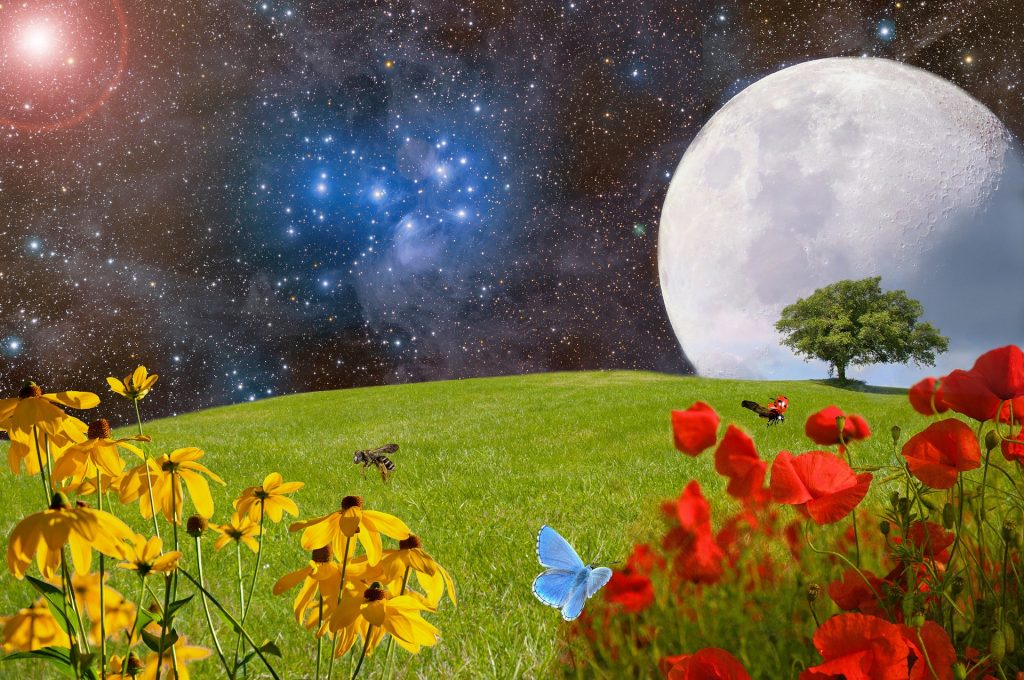 Blumenwiese mit Mond im Hintergrund