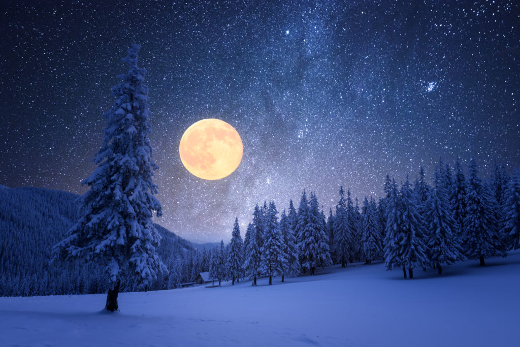 Winternacht mit Vollmond und Sternen mit schneebedeckten Tannenbäumen